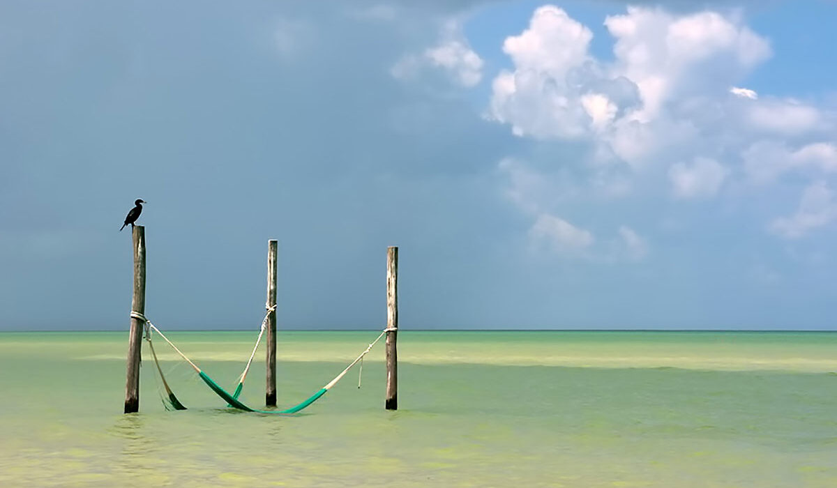 Beachfront Hotel La Palapa Holbox