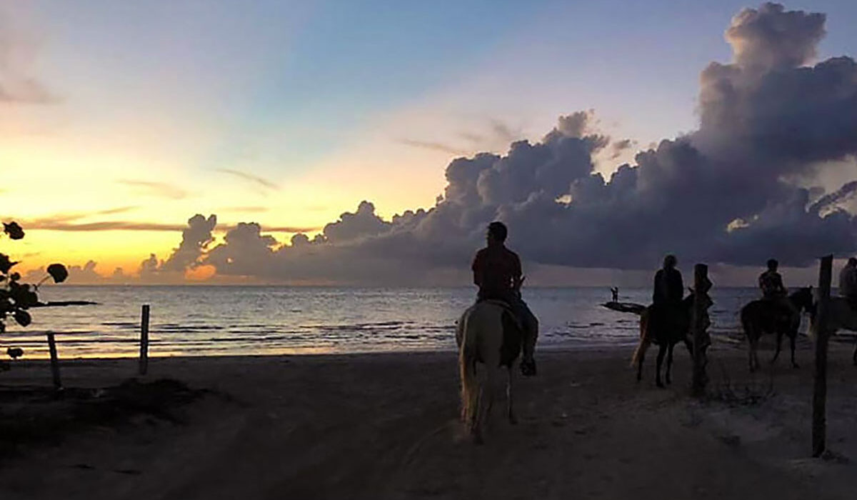 Tours & Activities in Holbox