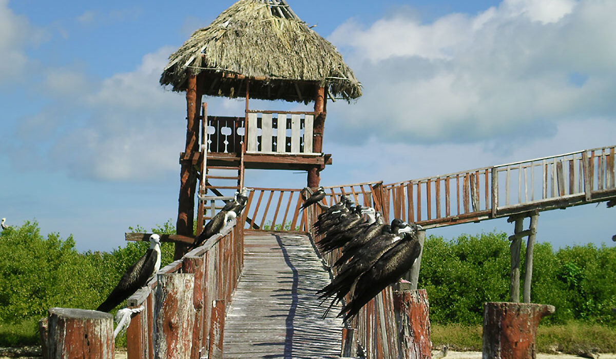 Around Holbox - Hotel La Palapa