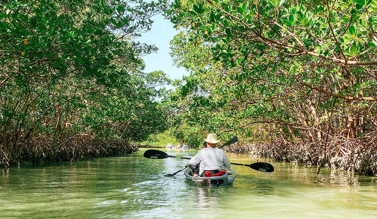 Tours & Activities in Holbox